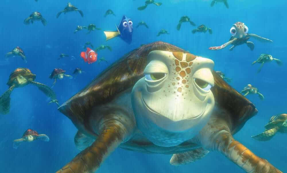 Dêum Mergulho Com Esta Adorável Tartaruga De Desenho Animado.