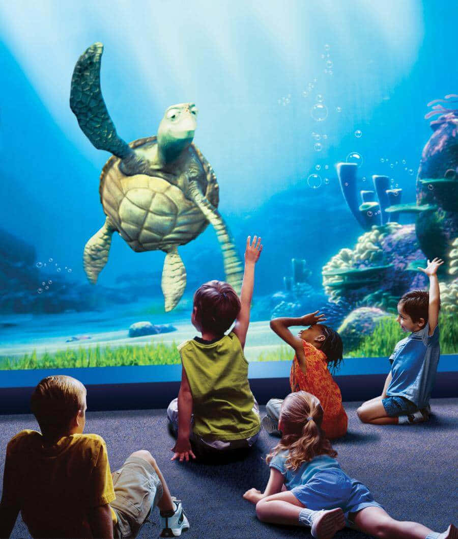 Einegruppe Von Kindern Beobachtet Eine Schildkröte In Einem Aquarium.