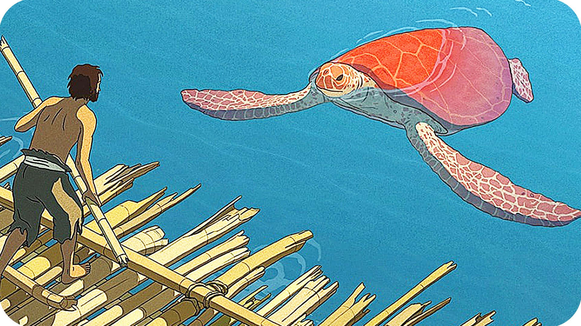 Einecartoon-schildkröte, Die Das Leben In Der Sonne Genießt.
