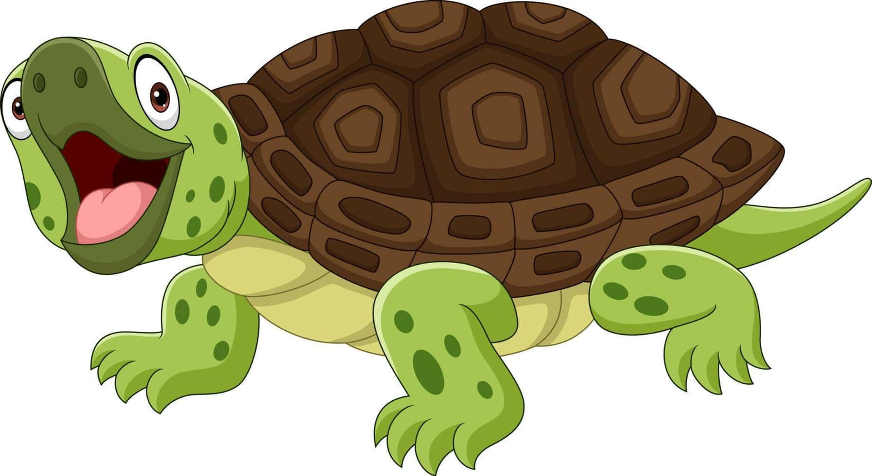 Denkloka Tecknade Sköldpaddan Redo Att Ge Råd.