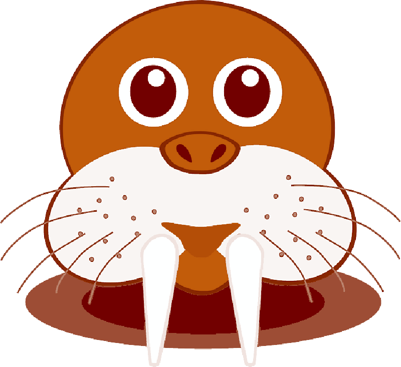 Cartoon Walrus Face Graphic PNG