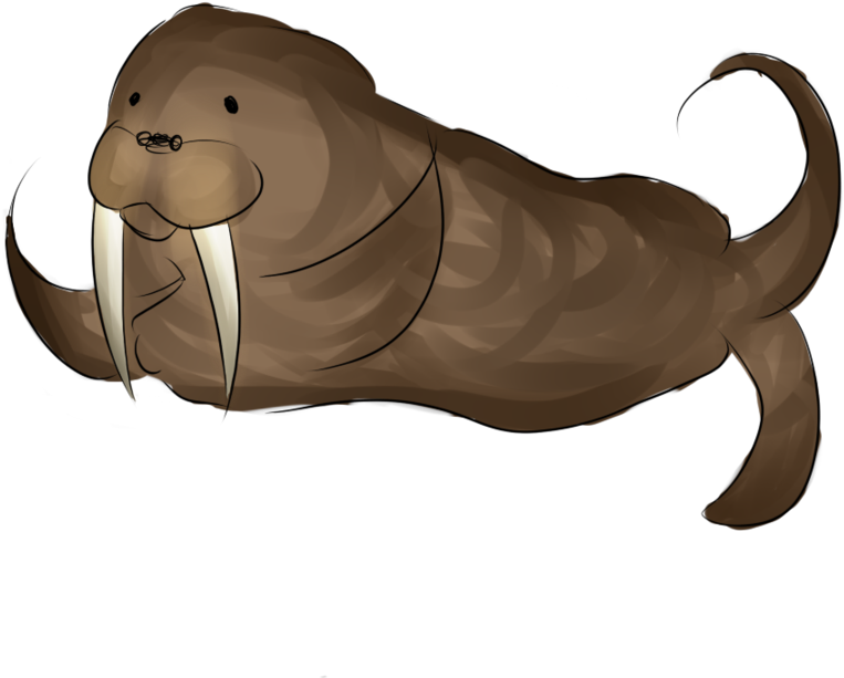 Cartoon Walrus Illustration PNG