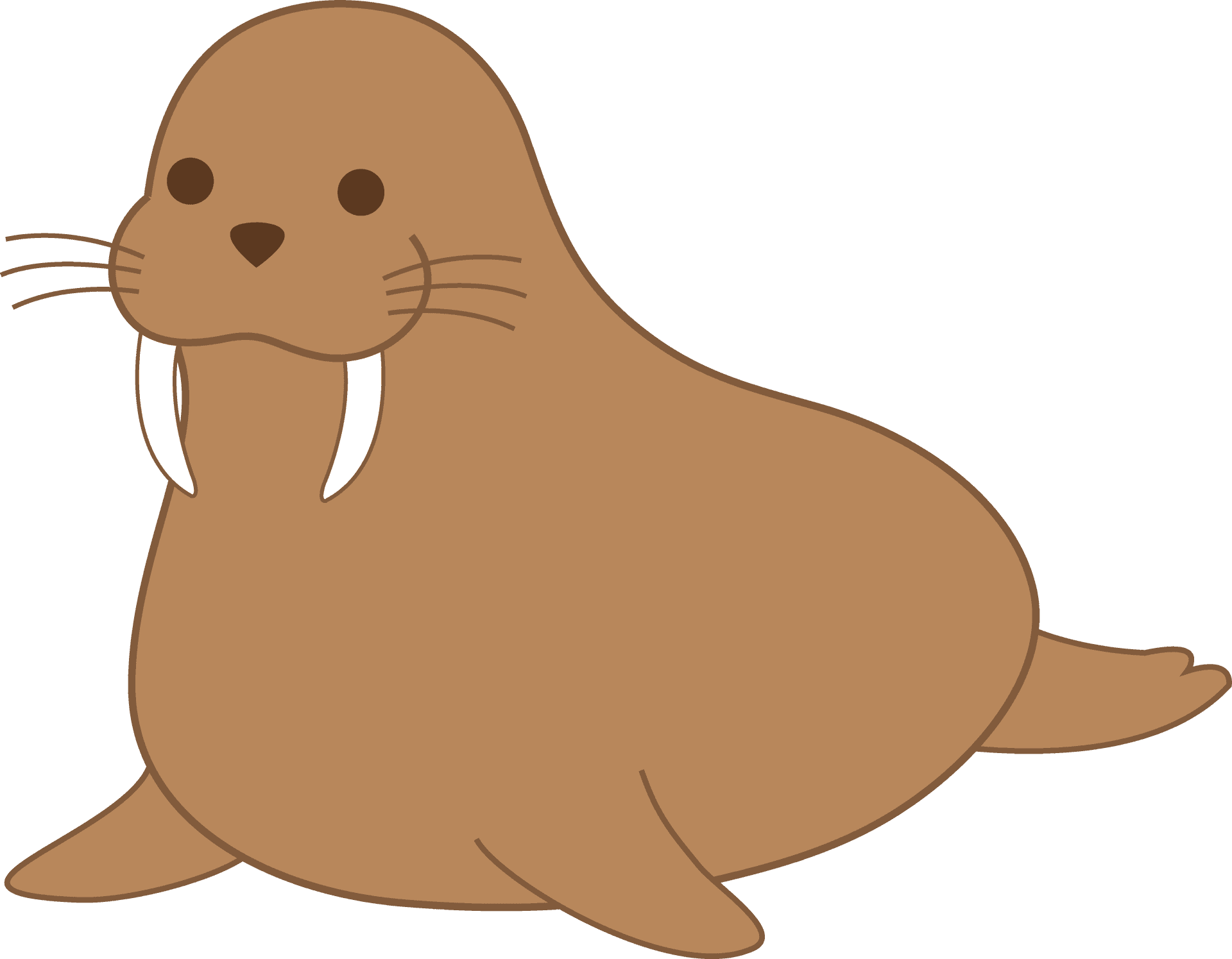 Cartoon Walrus Illustration PNG