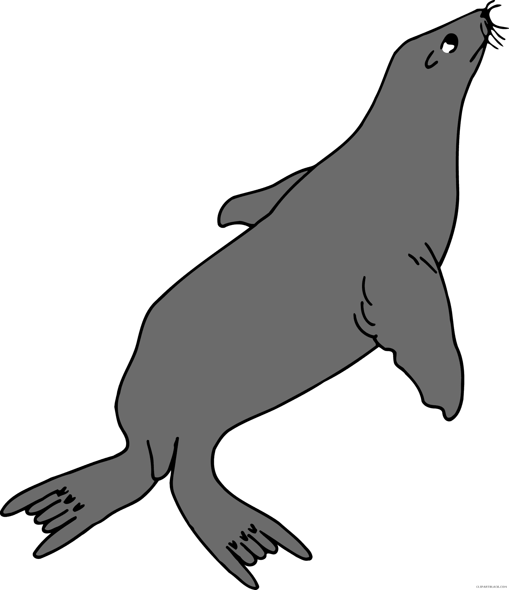 Cartoon Walrus Swimming PNG