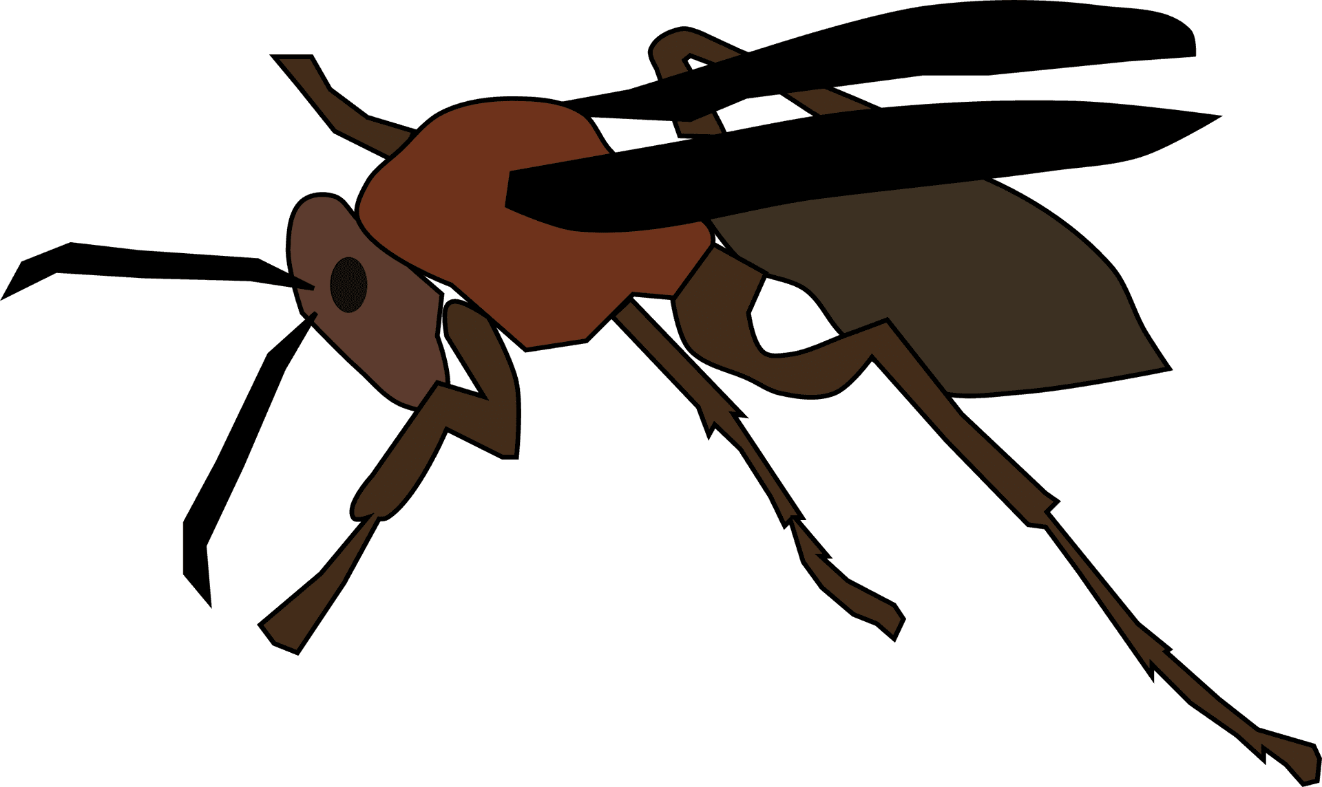 Cartoon Wasp Illustration PNG