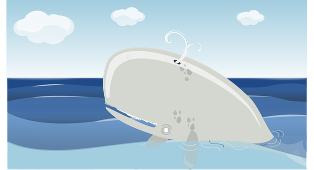 Cartoon Whale Breaching PNG