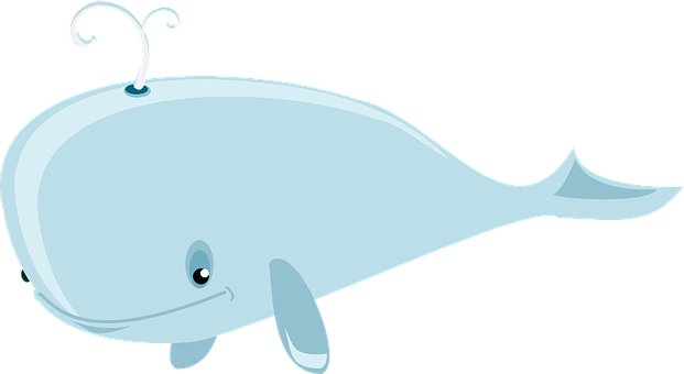 Cartoon Whale Illustration PNG