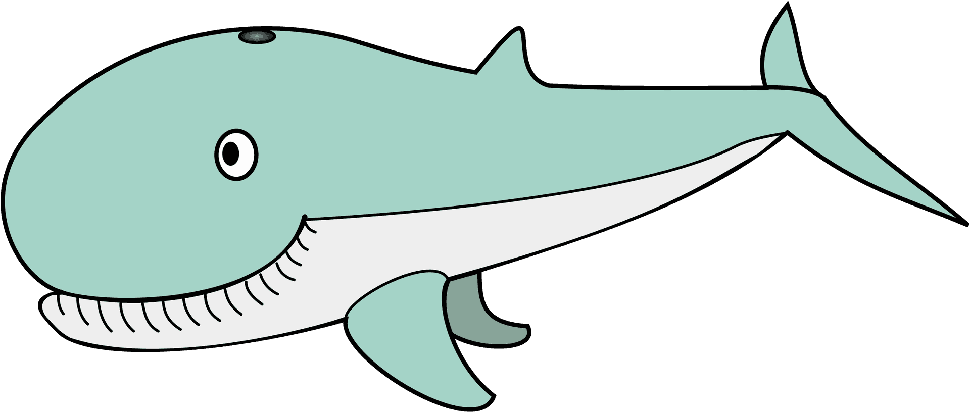 Cartoon Whale Illustration PNG