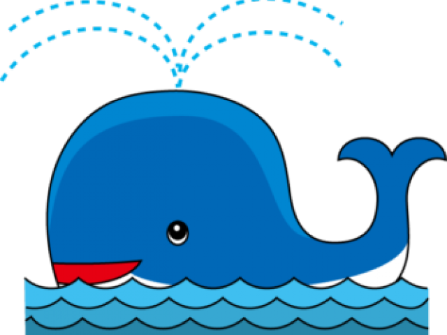 Cartoon Whale Spouting Water PNG