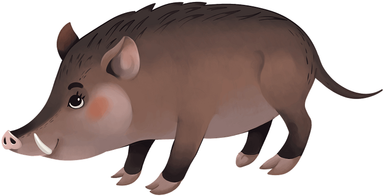 Cartoon Wild Boar Illustration PNG