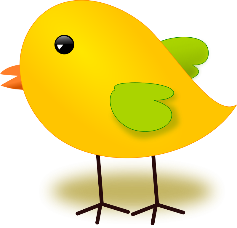 Cartoon Yellow Chick Illustration PNG