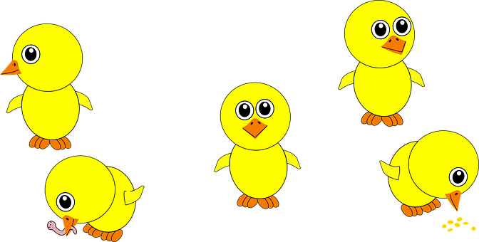 Cartoon_ Yellow_ Chicks_ Collection.jpg PNG