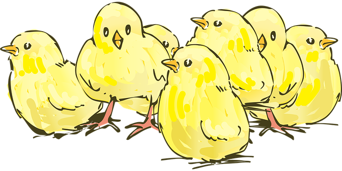 Download Cartoon Yellow Chicksina Row | Wallpapers.com