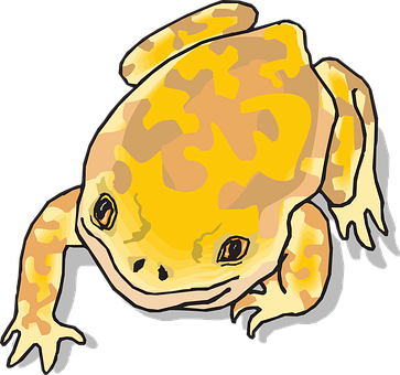 Cartoon Yellow Frog Illustration PNG