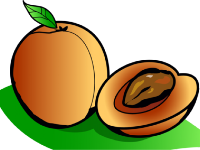 Cartoon_ Apricot_and_ Half_with_ Pit PNG