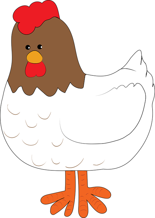 Cartoon_ Hen_ Illustration.png PNG