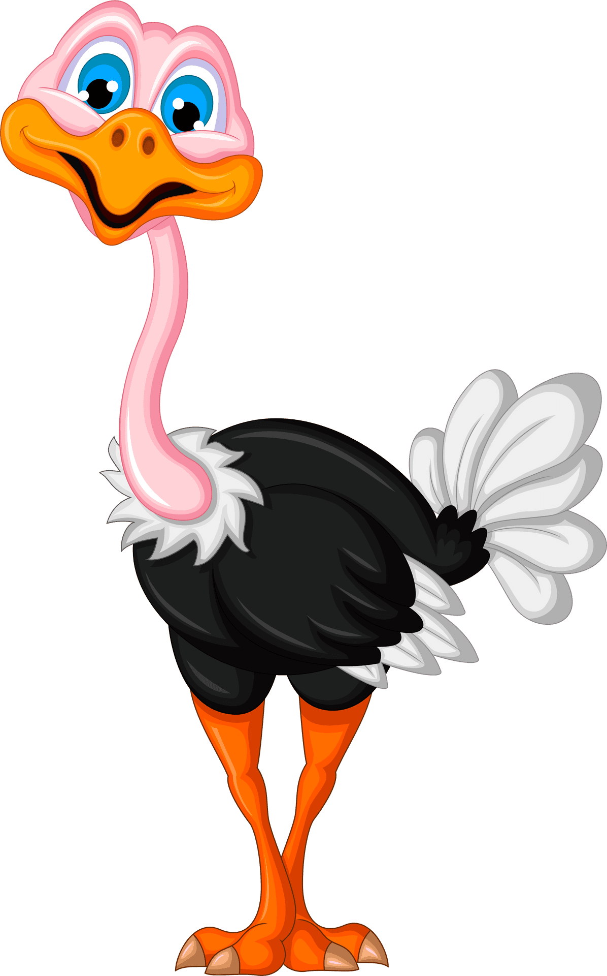 Cartoon_ Ostrich_ Character.png PNG
