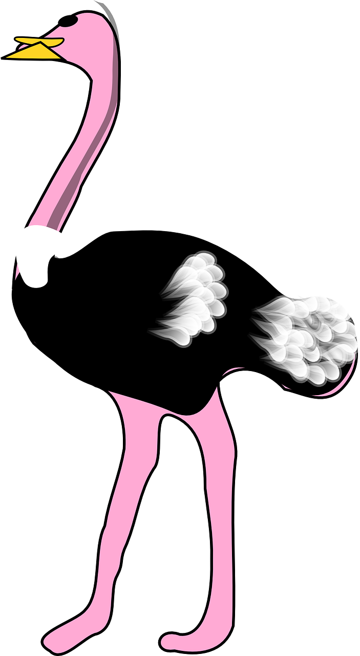 Cartoon_ Ostrich_ Graphic PNG