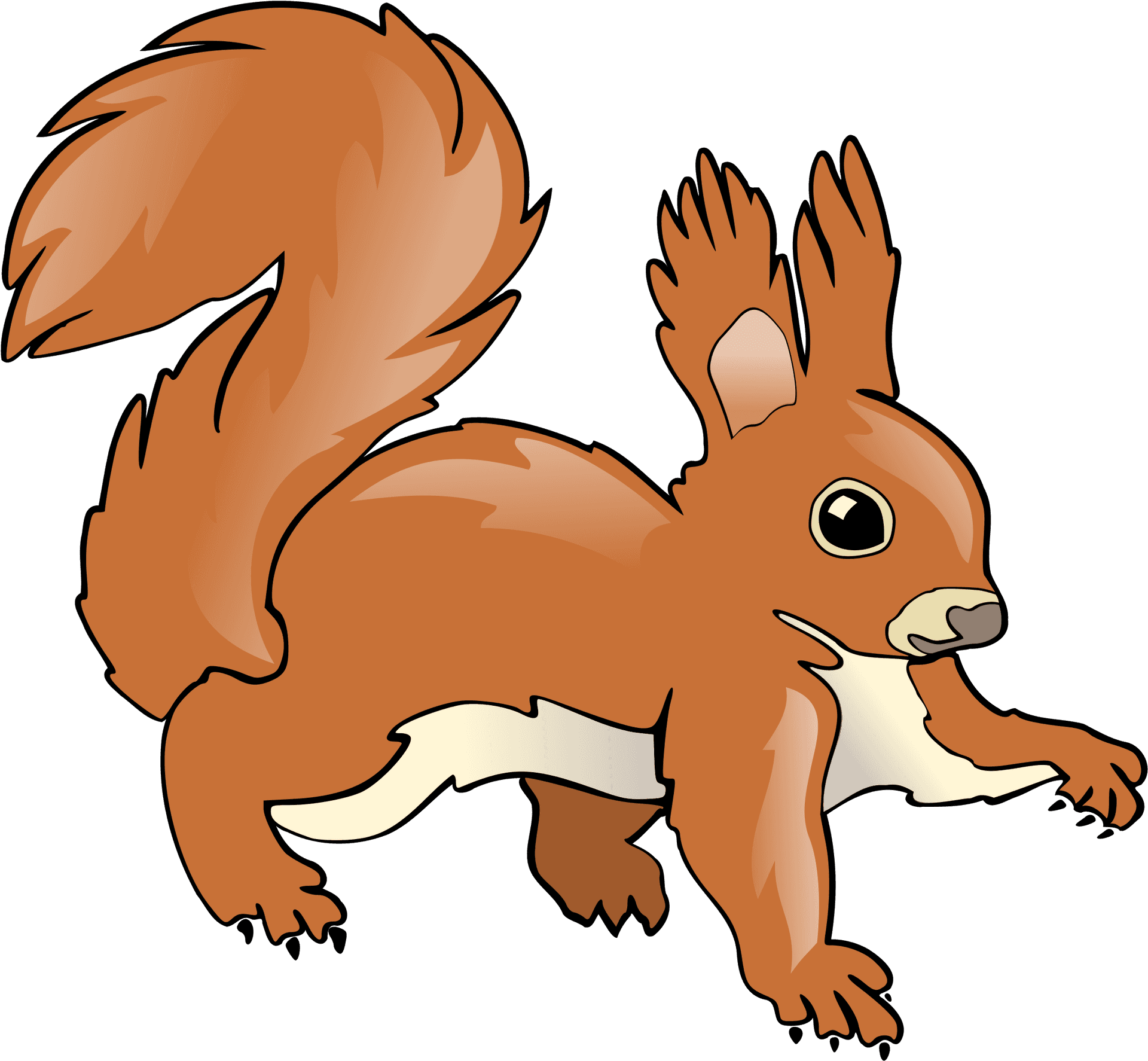 Cartoon_ Squirrel_ Illustration.png PNG