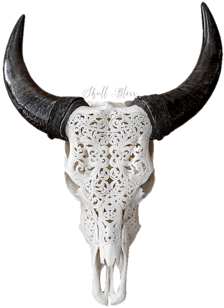 Carved Animal Skullwith Horns PNG