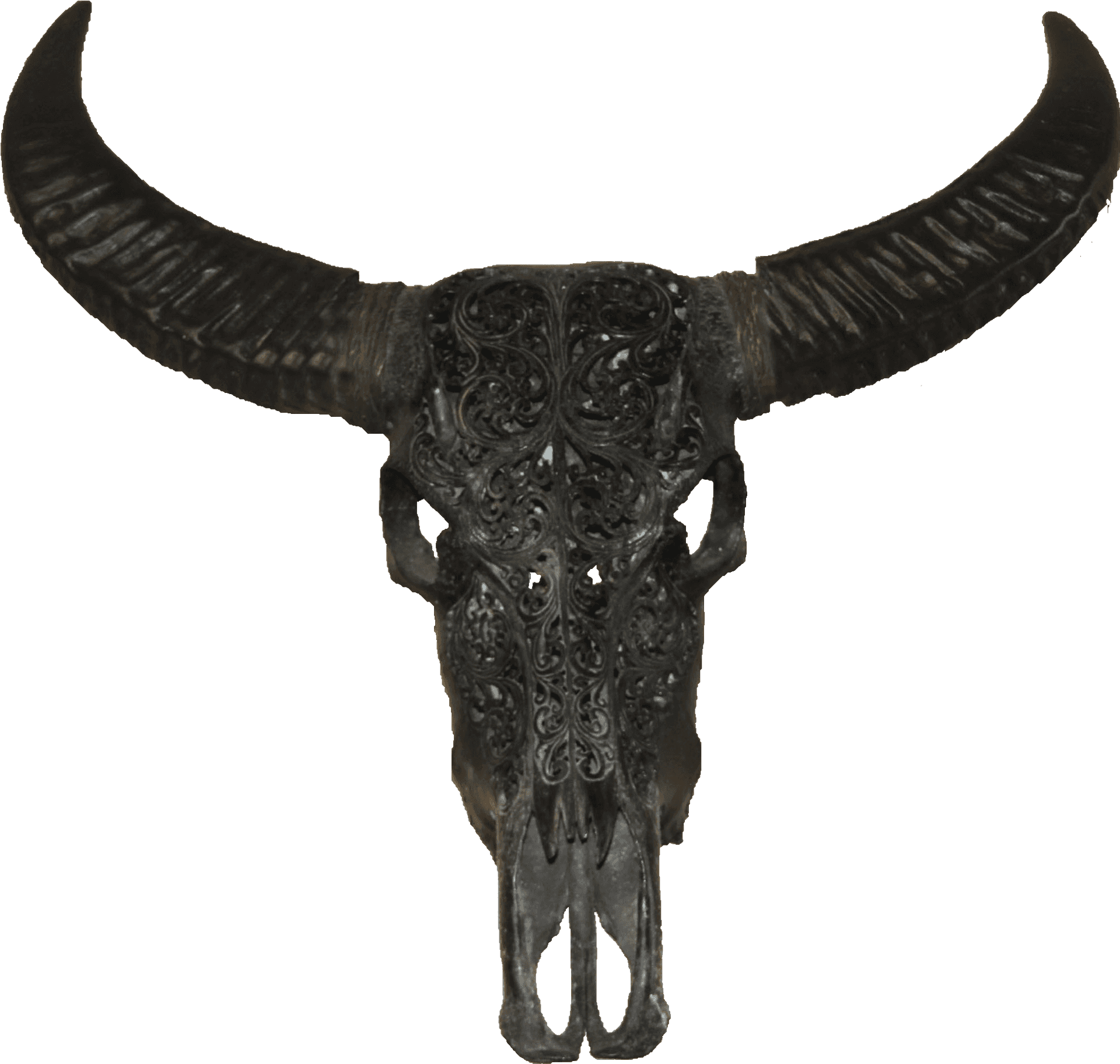 Carved Buffalo Skull Decor PNG