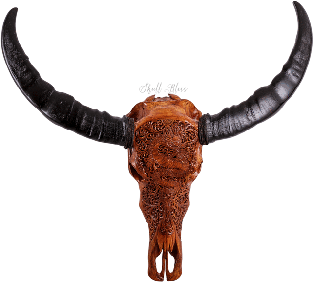 Carved Buffalo Skullwith Horns PNG