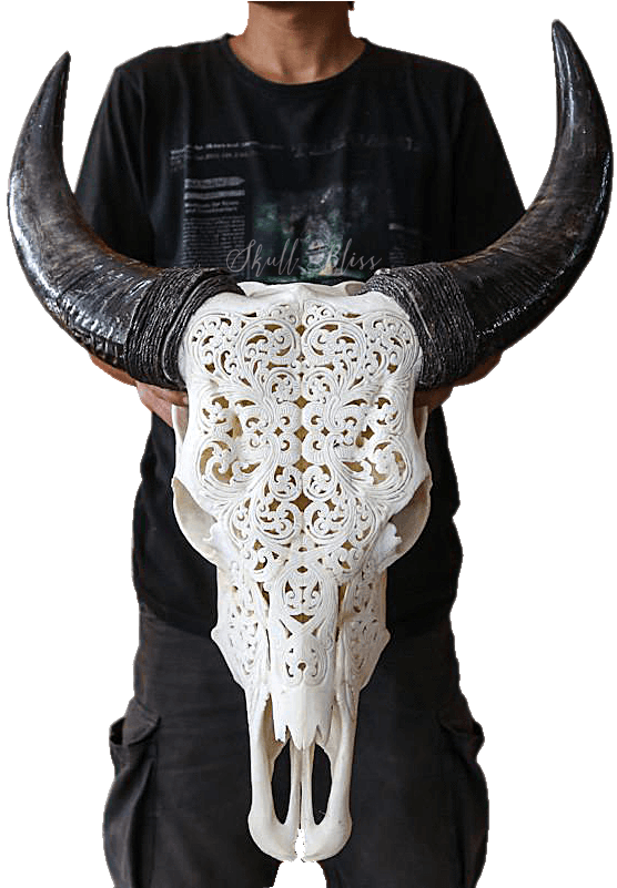 Carved Goat Skullwith Horns PNG