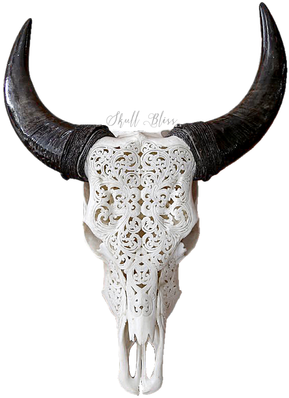 Carved Goat Skullwith Horns PNG