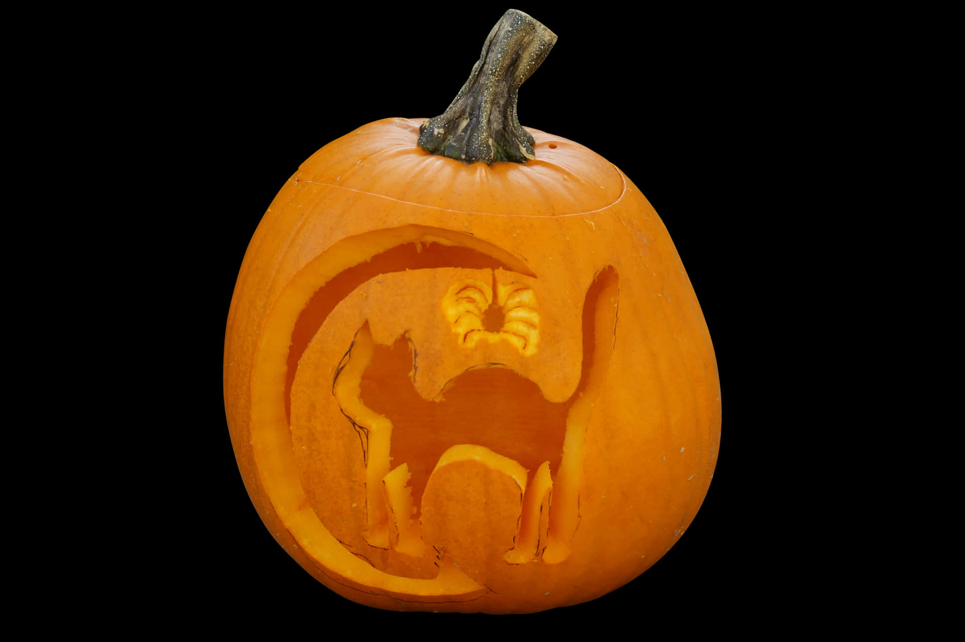 Carved Halloween Pumpkin Cat Design PNG