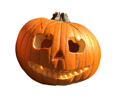 Carved Halloween Pumpkin Isolated PNG