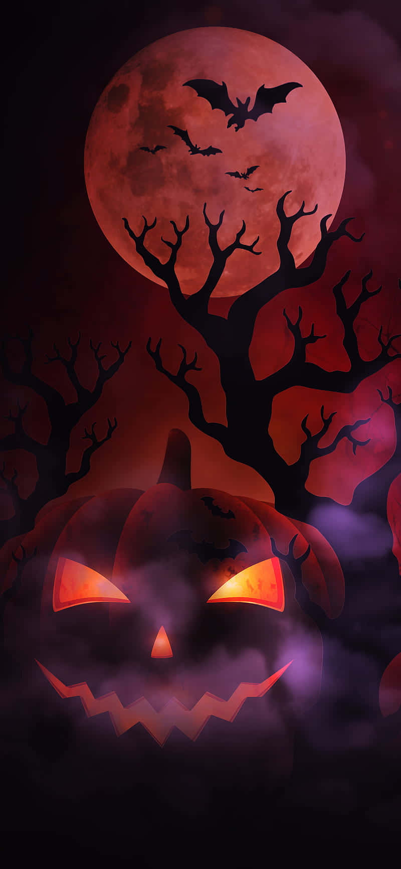 Download Carved Pumpkin Halloween Bats Wallpaper | Wallpapers.com