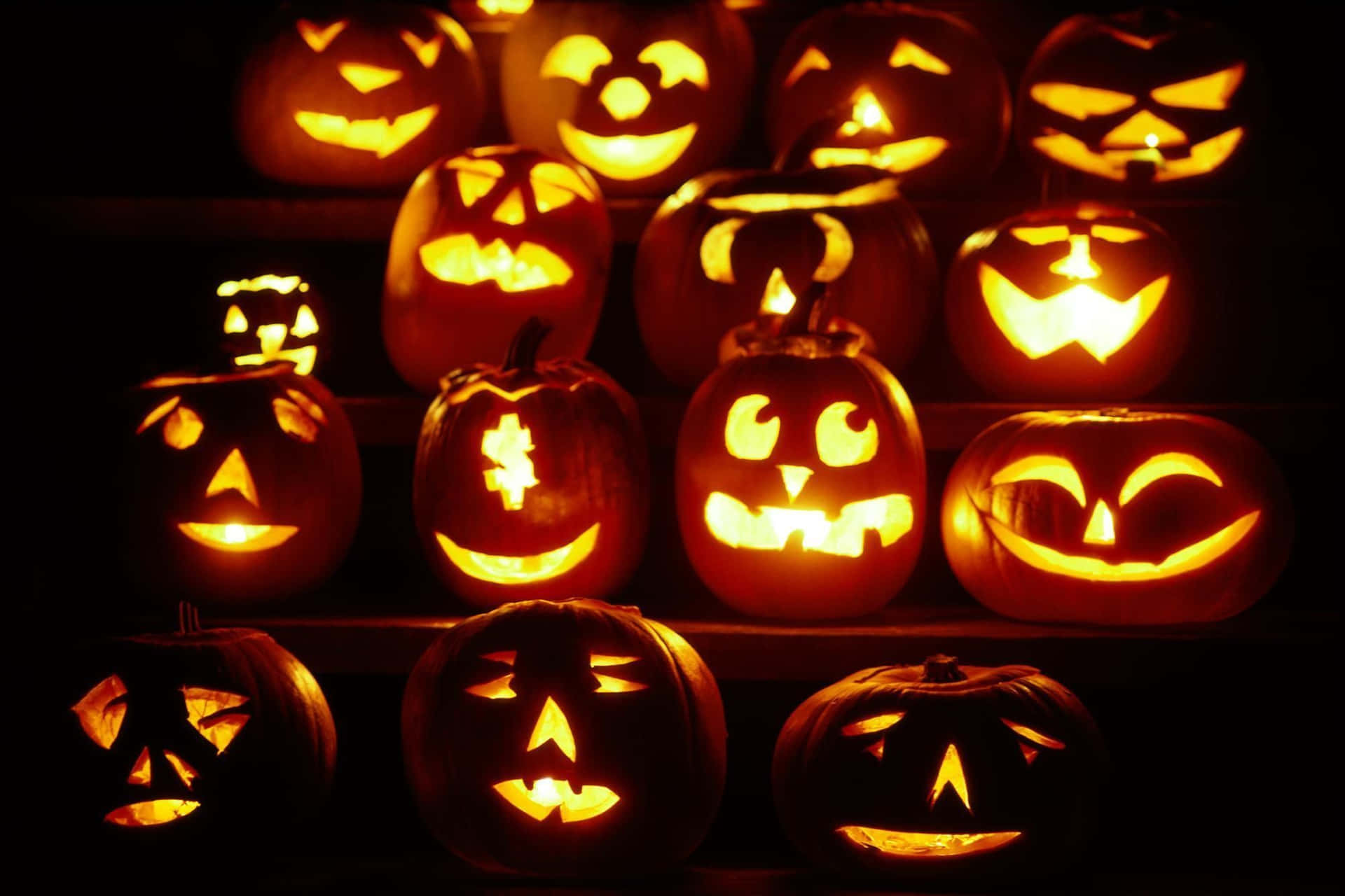 Carved Pumpkin Various Expressions Wallpaper