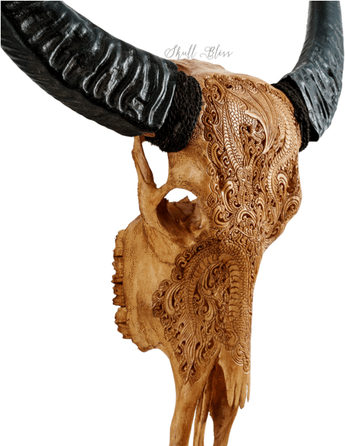 Carved Skullwith Horns Artwork PNG