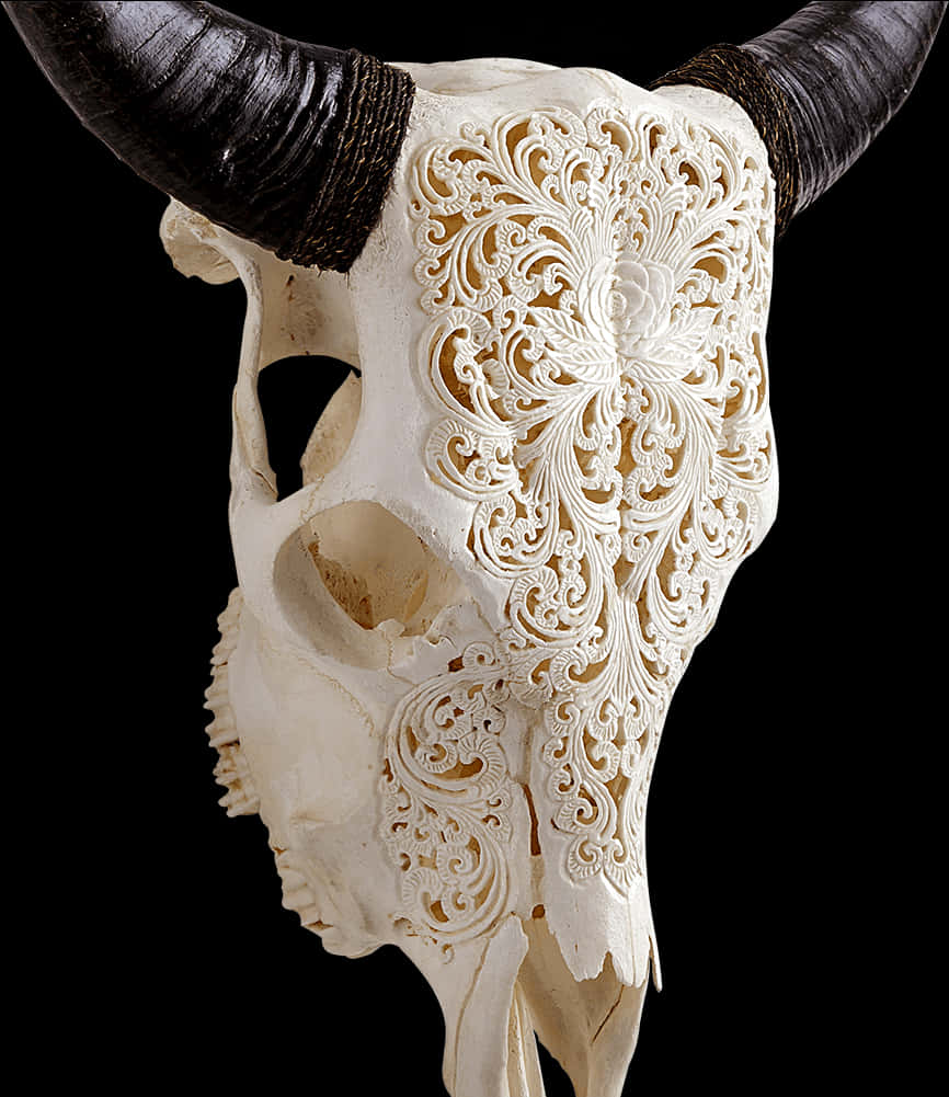 Carved Skullwith Horns PNG