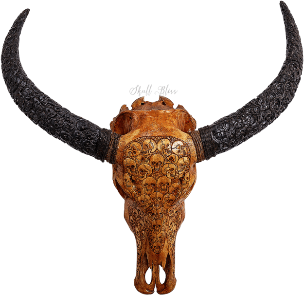 Carved Skullwith Long Horns PNG