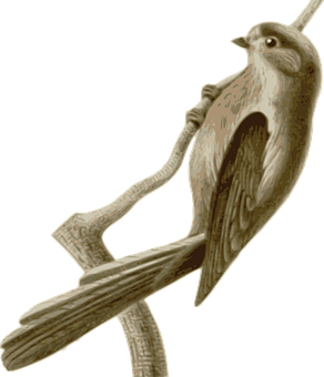 Carved Wooden Bird Perched PNG