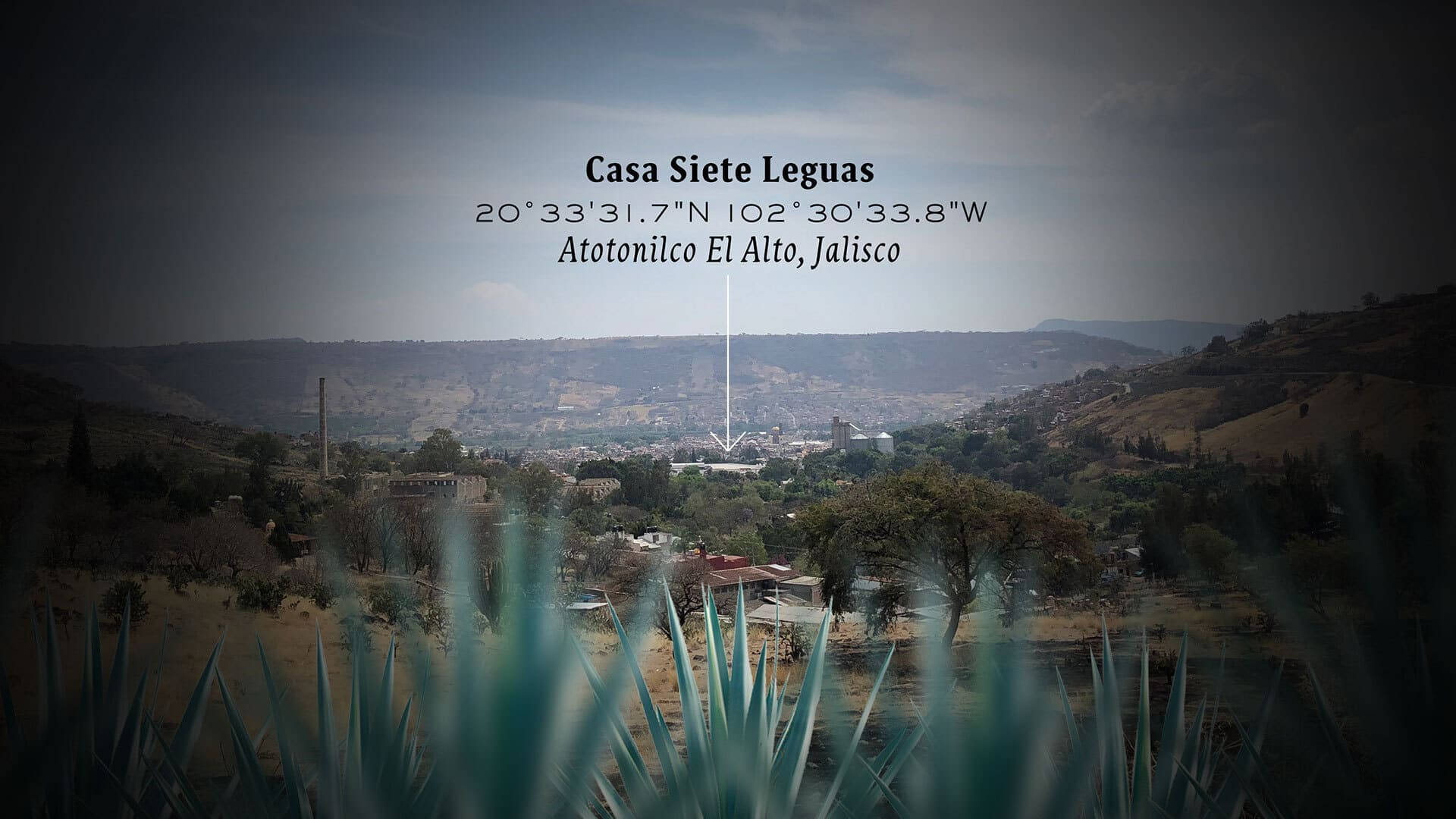 Casa Siete Leguas Tequila Plantation Wallpaper