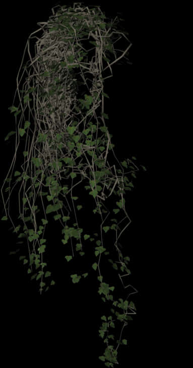 Cascading Green Vineson Black Background PNG