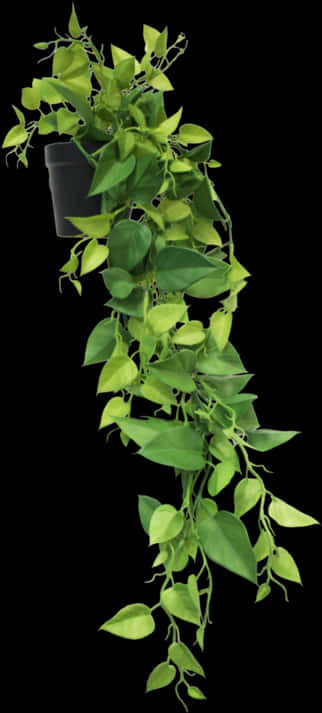 Cascading Greenery Hanging Plant.jpg PNG