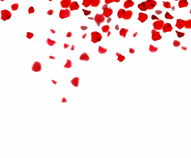 Cascading Red Rose Petals PNG