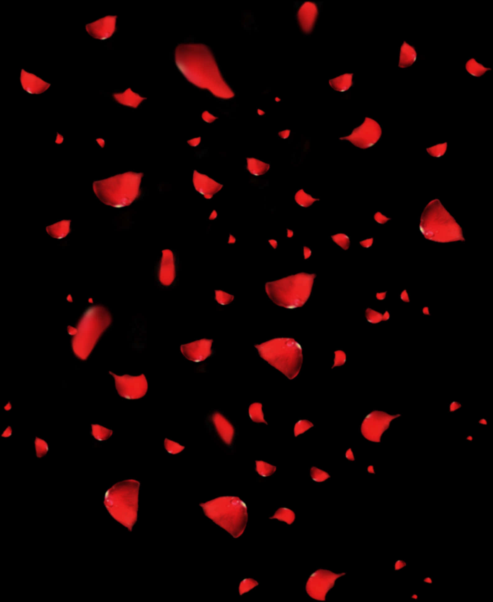 Cascading Red Rose Petals PNG