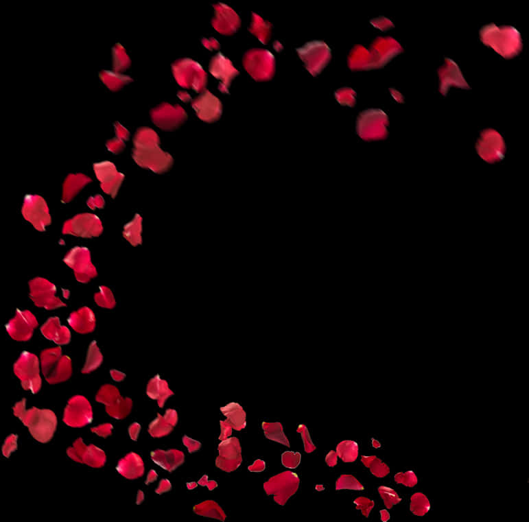 Cascading_ Red_ Rose_ Petals PNG