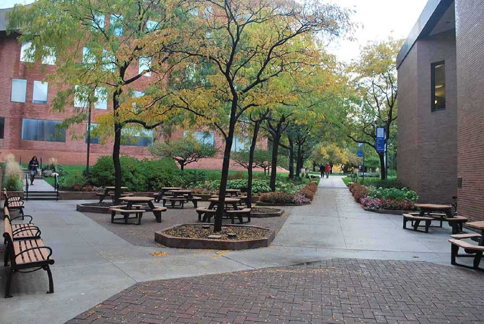 Case Western Reserve University Outdoor Benches Background