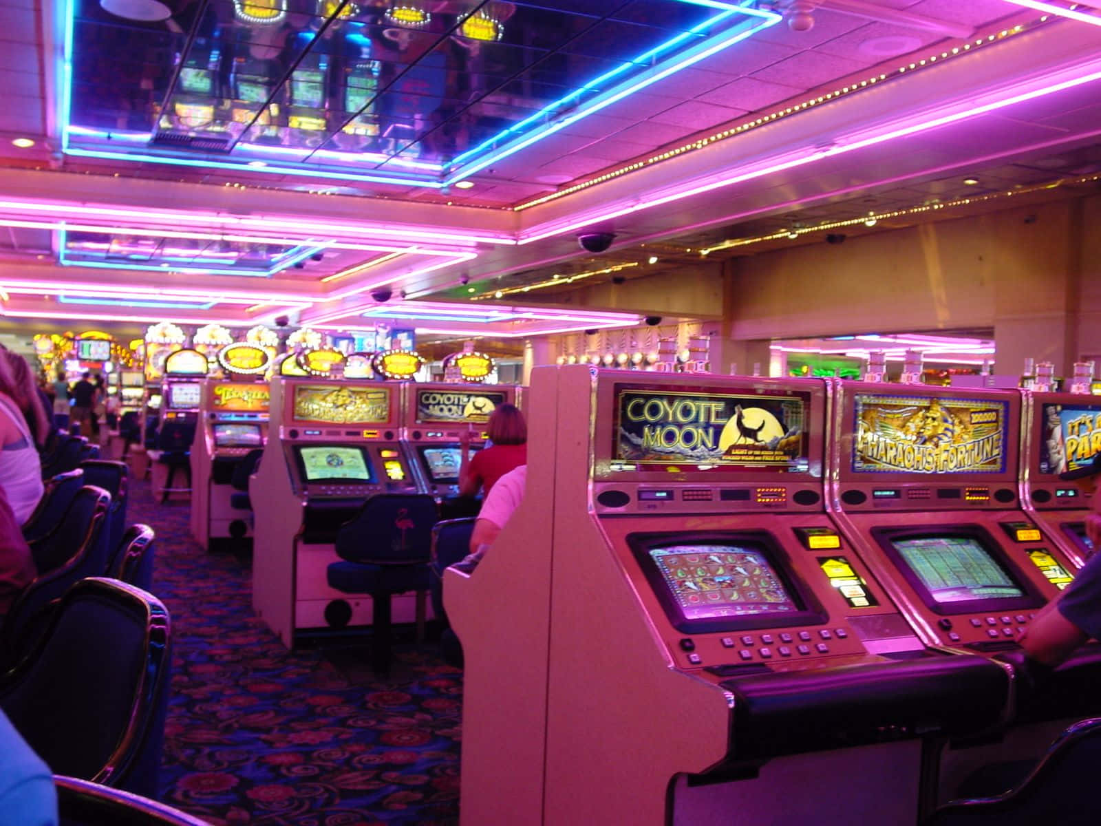 Regnbågenshotell Casinobild