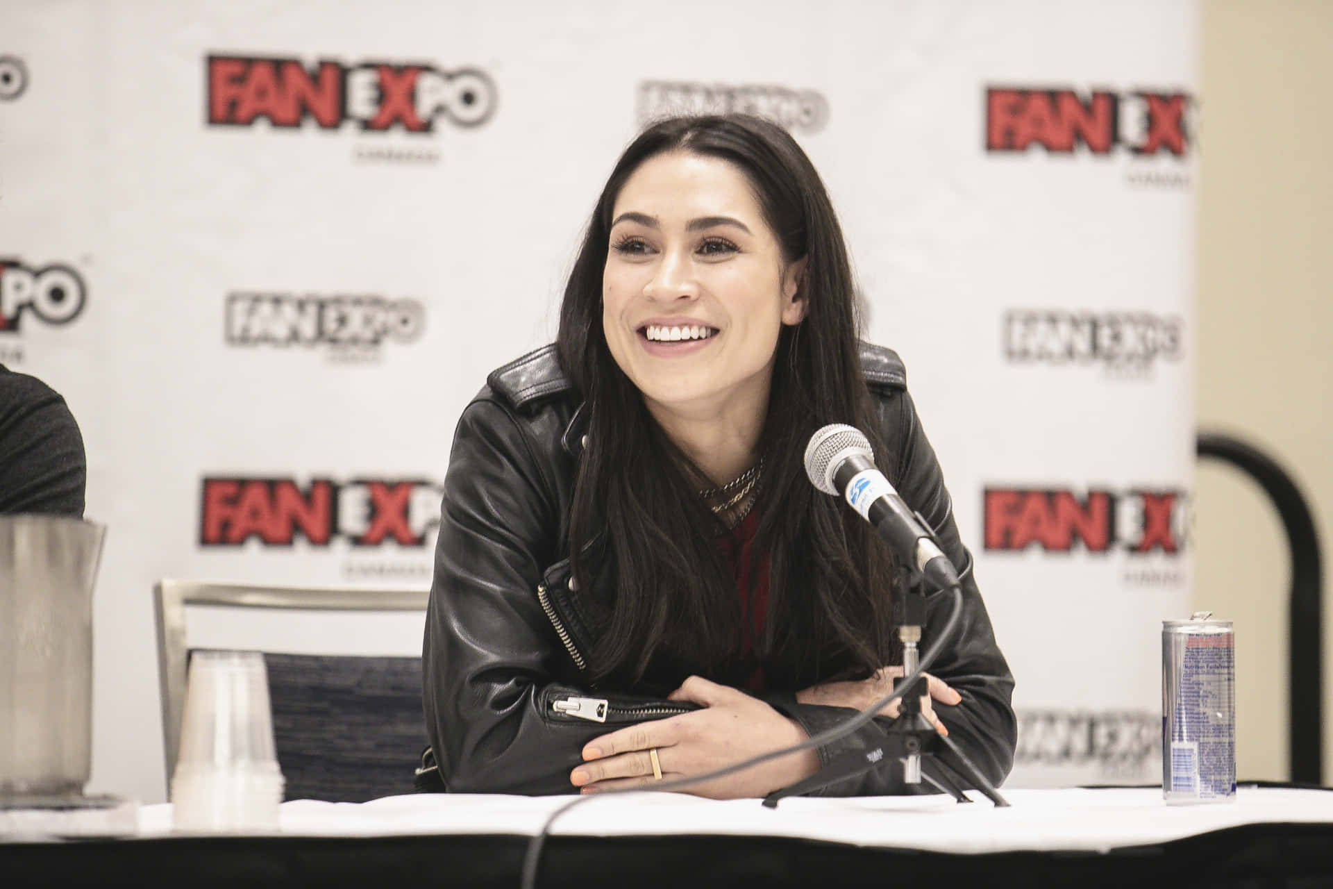Cassie Steele Fan Expo Panel Discussion Wallpaper