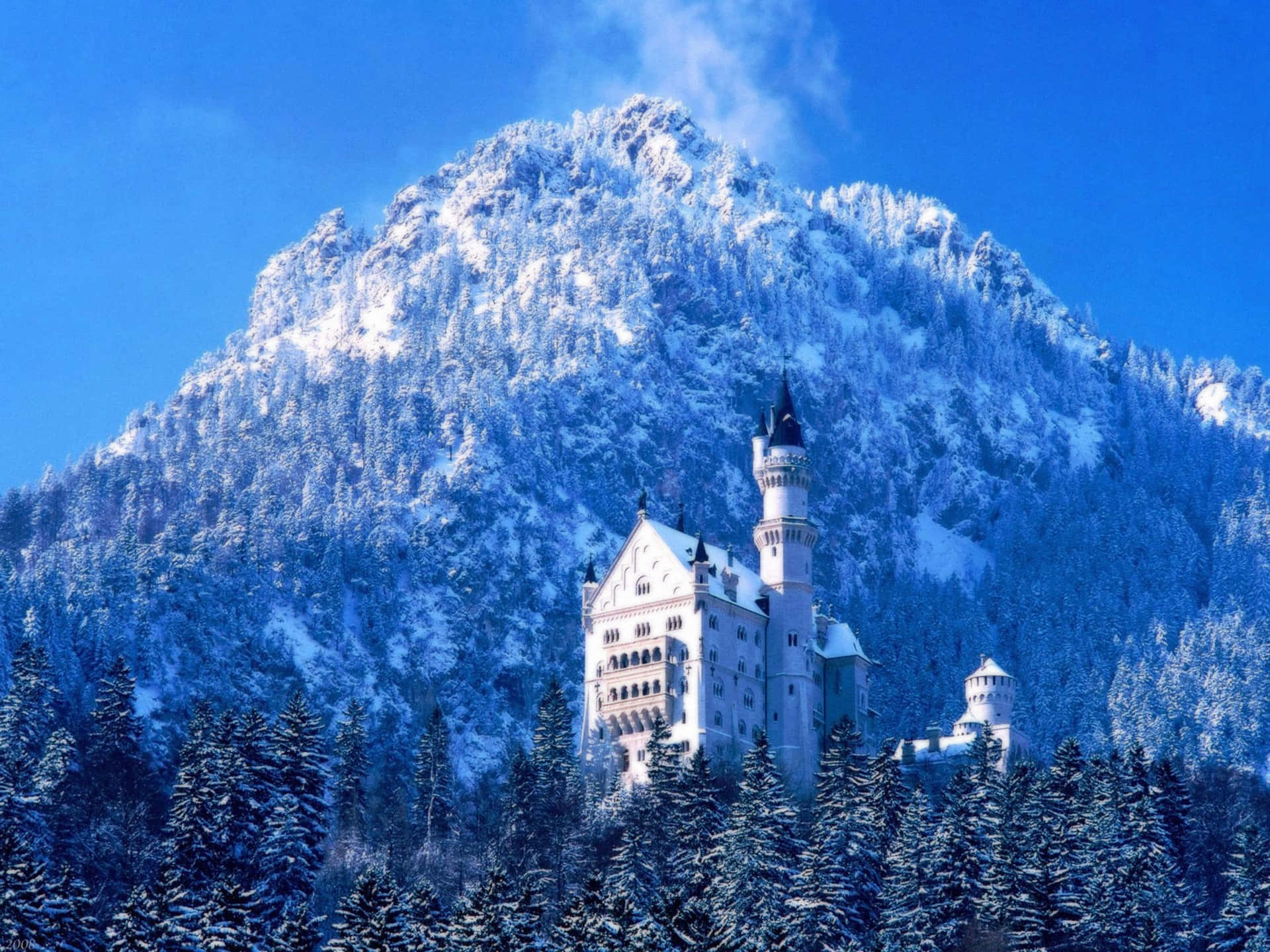 Castelode Neuschwanstein No Inverno