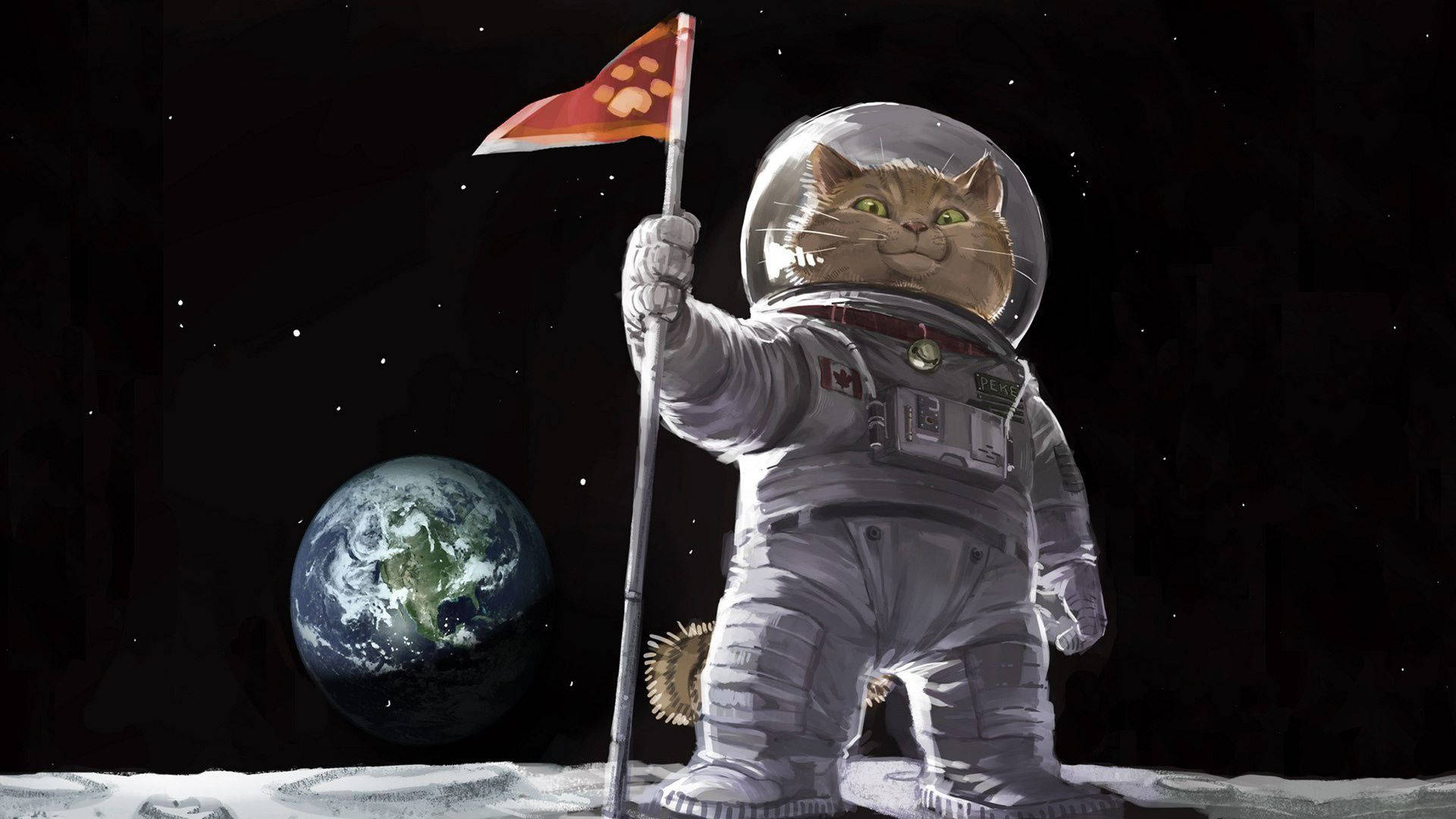 Kattedesign Astronaut Kat. Wallpaper