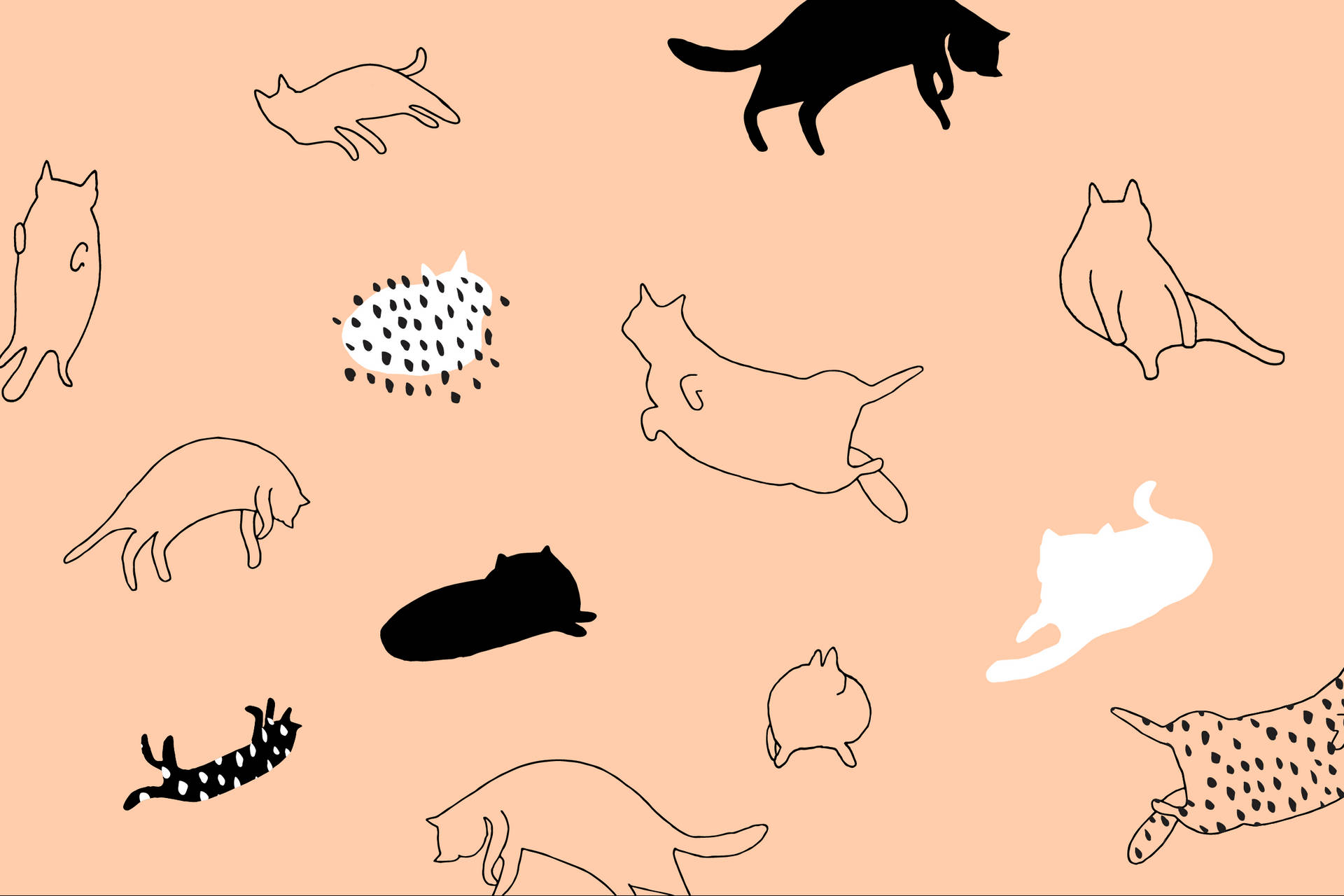 Cat Art Minimalistisk Skitse Illustration Wallpaper