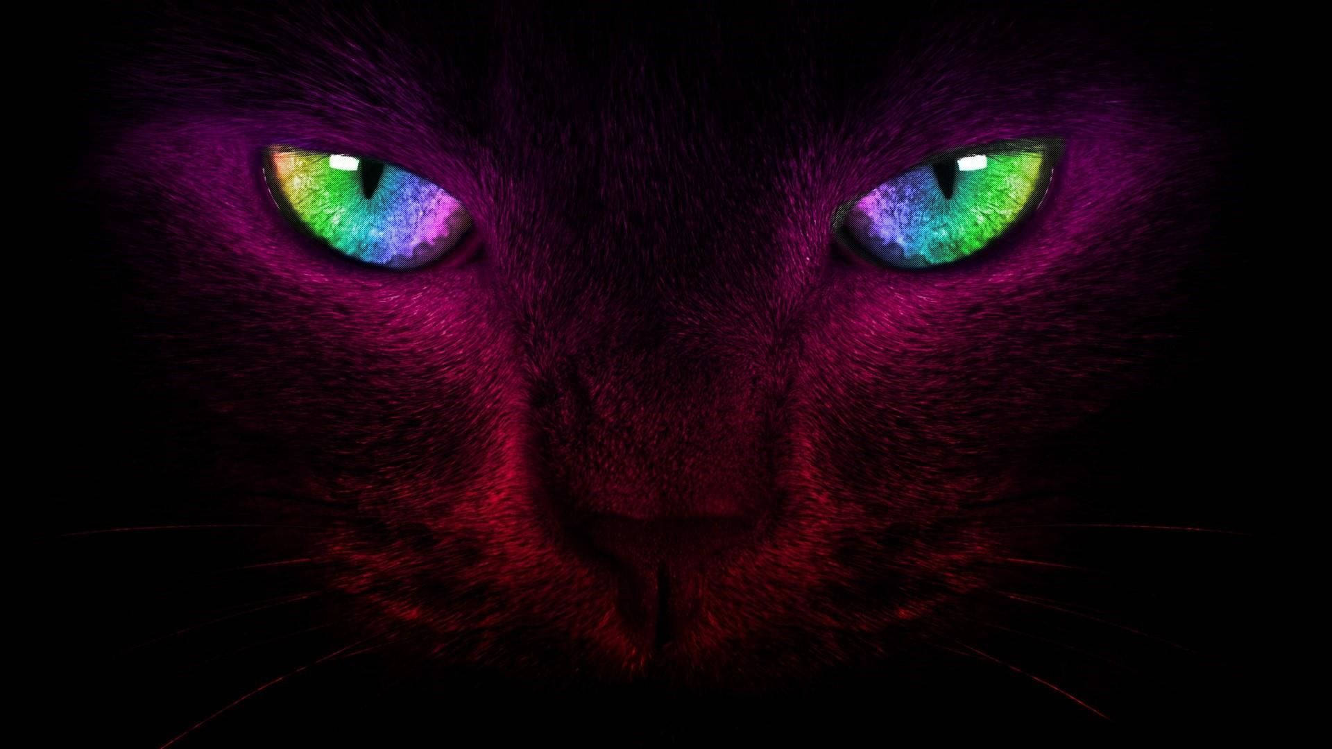 Artede Gato Con Ojos Neón Multicolores. Fondo de pantalla
