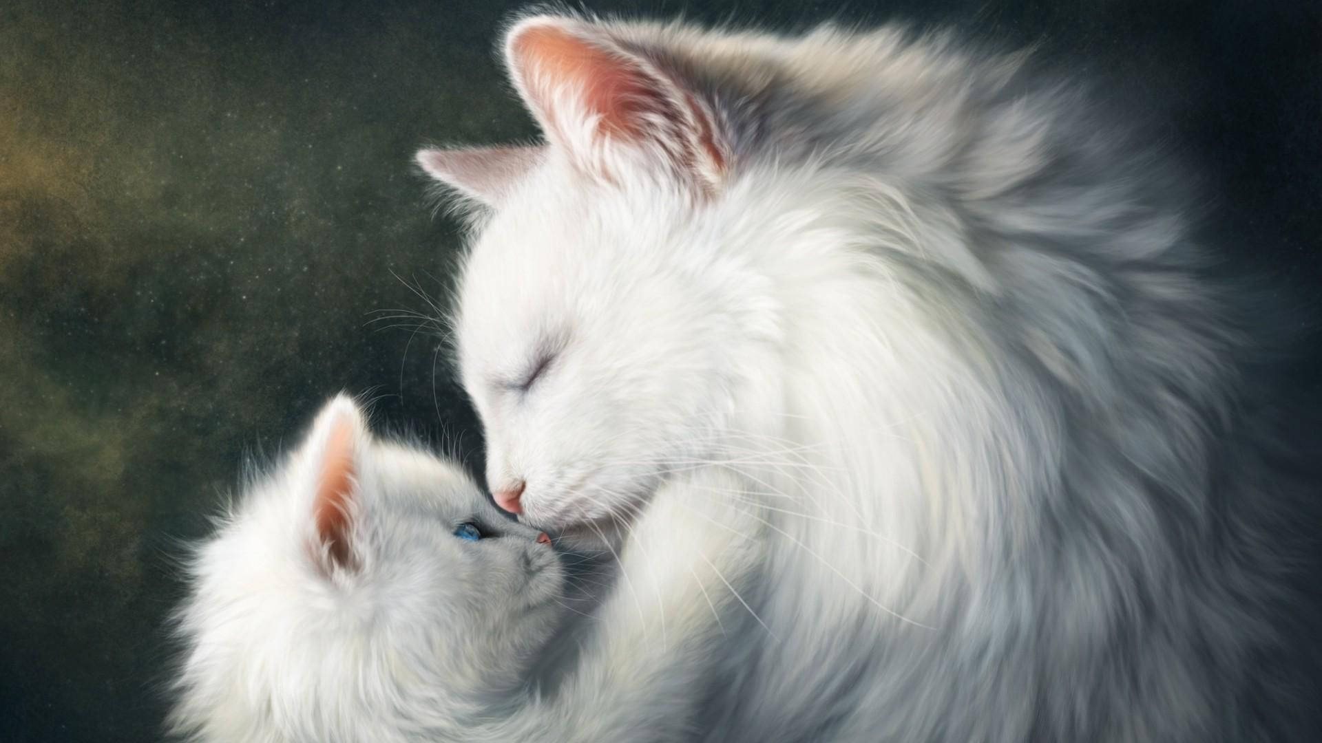Artede Gatos Nube Blanca De Gatos Fondo de pantalla